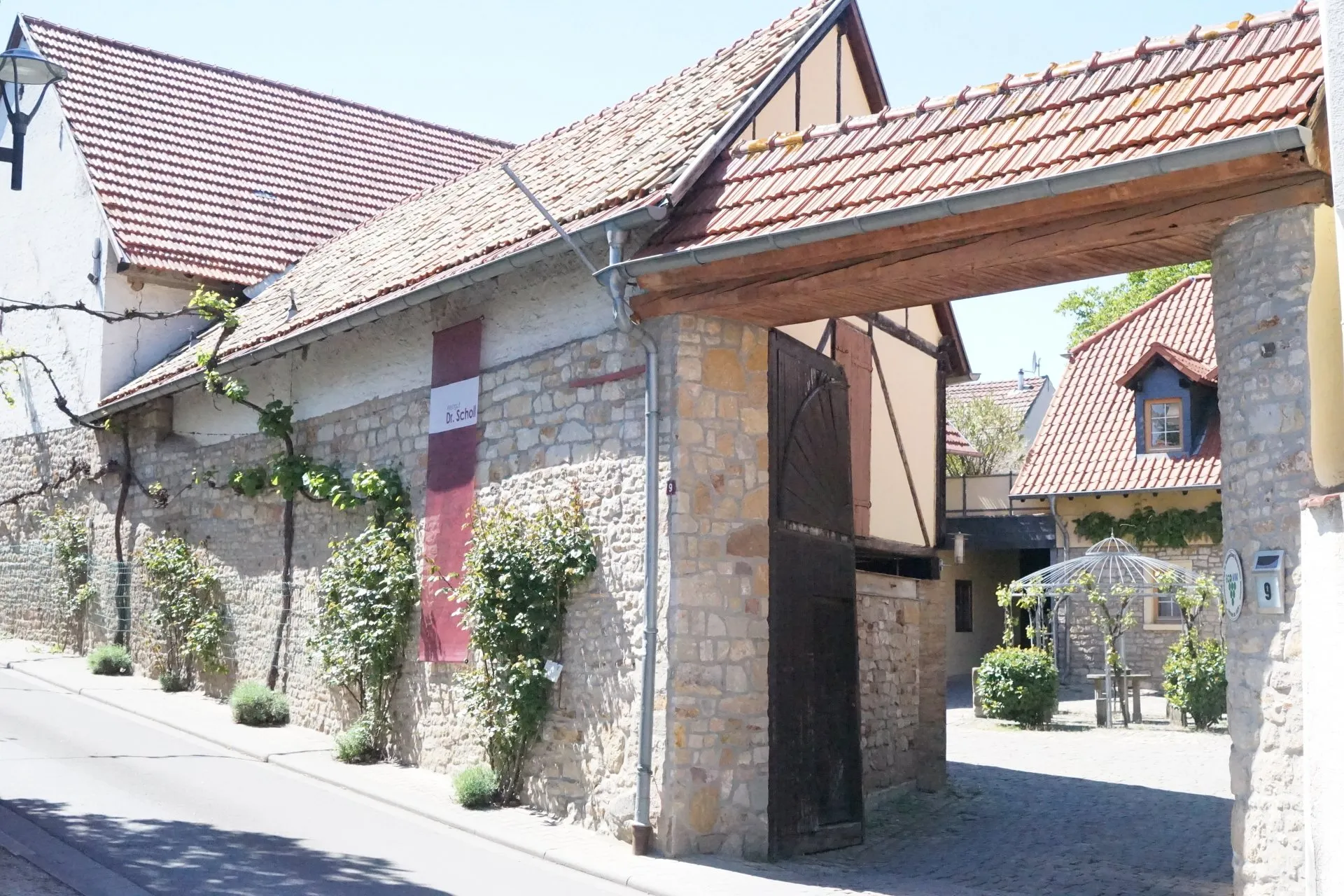 Weinberg des Weinguts Dr. Scholl in Bornheim, Rheinhessen